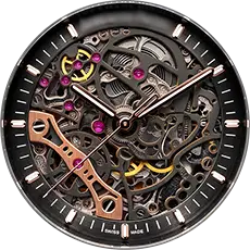 Audemars Piguet watches